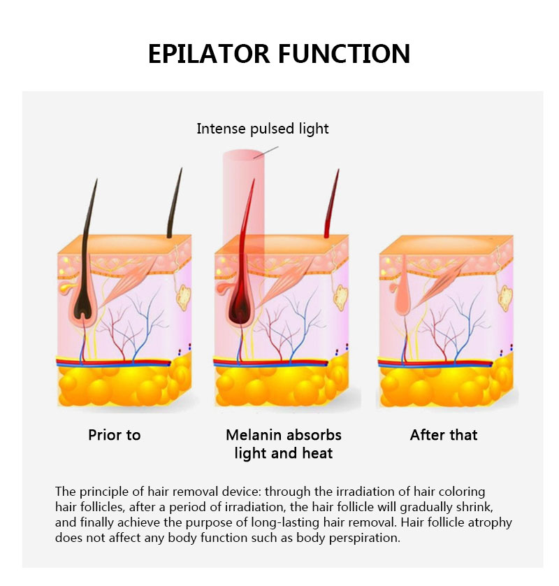 Body Bikini IPL 500,000 Flash Depilator Pulses Permanent Laser Epilator Painless For Women Hair Removal Home Use Devices