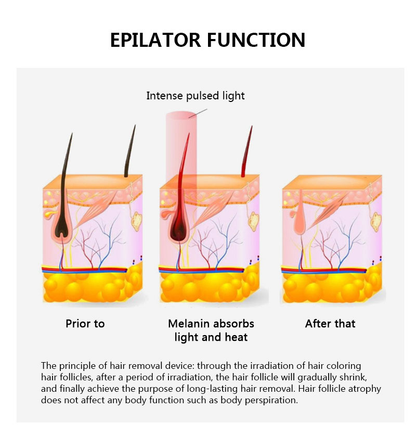 Body Bikini IPL 500,000 Flash Depilator Pulses Permanent Laser Epilator Painless For Women Hair Removal Home Use Devices